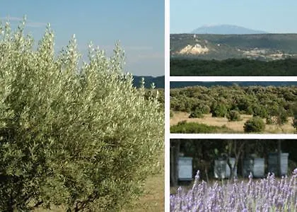 Panzió Mas Bella Cortis La Garde-Adhémar